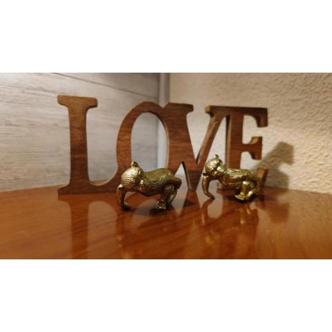 ALOJAMIENTO MIRABUENOS