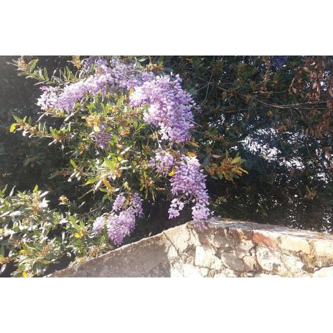 Amazing house sourrounding by nature