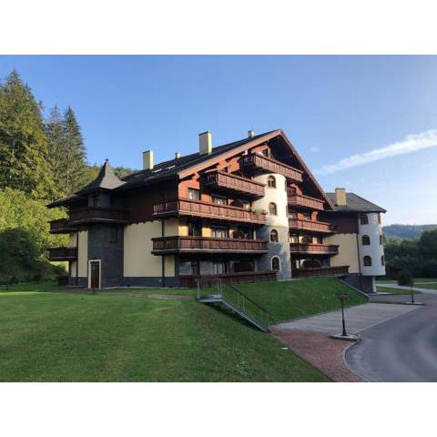 Apartman KARIN, Tále, Chopok - Juh