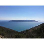 Apartment Bertossin Rovini