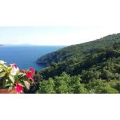 Apartment Vedran - Brsec Old Town