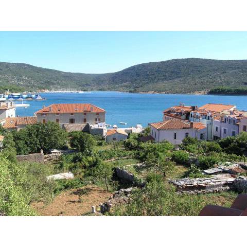 Apartments in Cres/Insel Cres 13668