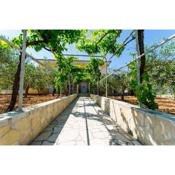 Apartments Iva - 150m from the beach