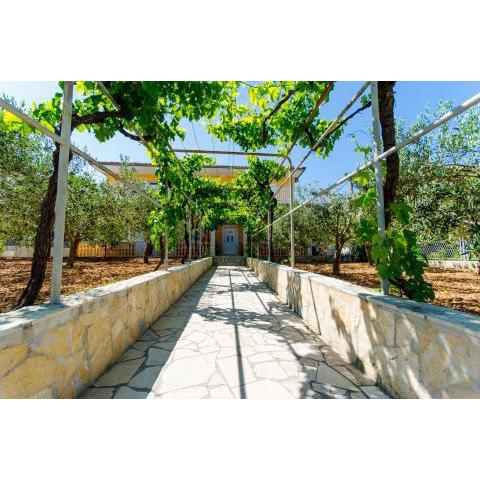 Apartments Iva - 150m from the beach