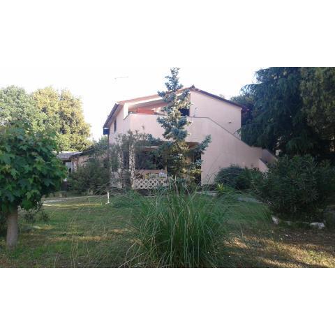 Apartments with a parking space Betiga, Fazana - 11193