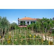 Apartments with a parking space Kraj, Pasman - 8457