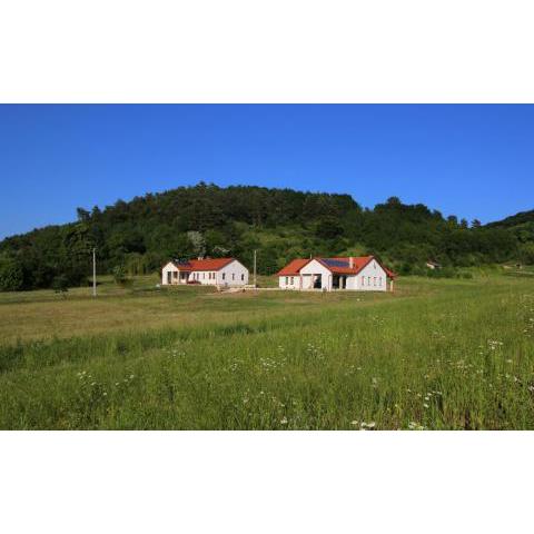 Bánvölgye Guest House