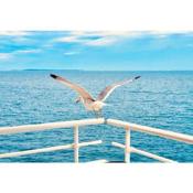 Bel appartement avec vue mer