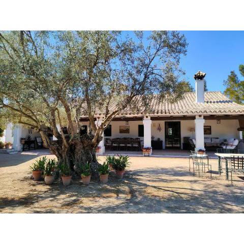 Casa de campo - Cortijo El Palomar