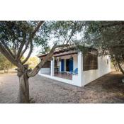 CASA LAIA Cala Saona