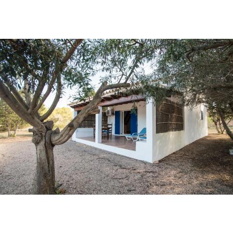 CASA LAIA Cala Saona