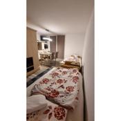 Cédrus vendégház Kőszegszerdahely