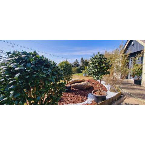 Cocoon Secret Suite romantique