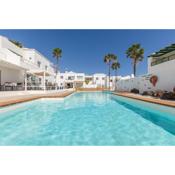 Conylanza Tabayba Blue