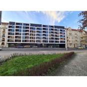 Copper Apartment Free Parking