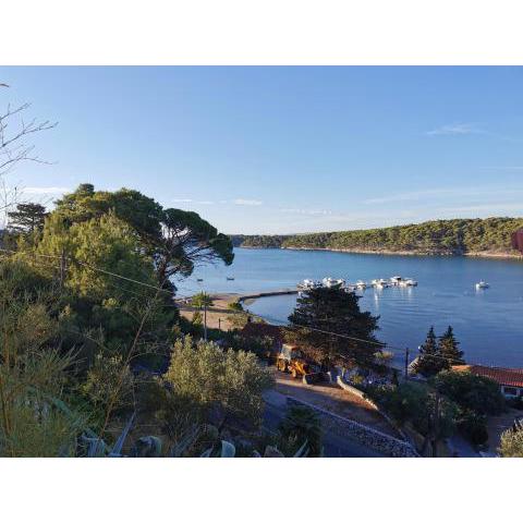 Cosy room Arba with private bathroom and sea view