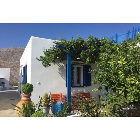 Cycladic houses in rural surrounding 3
