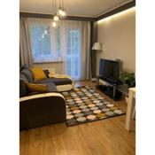 Dąbrowszczaków APP