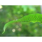 Etxeberri Landa Etxea