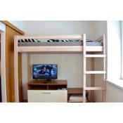 Family home Lipno Lake, Airstay Lipno