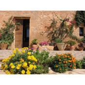 Finca Sa Cova Vella