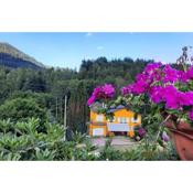 Gîte forestier du Moulin (10 pers)