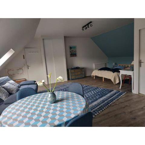 Grand studio, tout équipé et rénové.