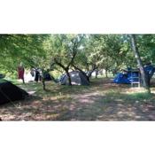 Holiday park - Camping near Venice