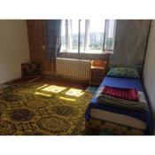 Hostel Branik Garden