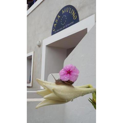 Hotel Residence Il Mulino