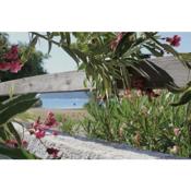 La Casa delle Betulle