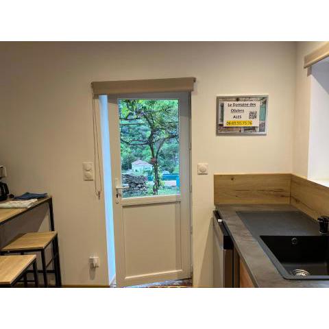 Le domaine des Oliviers ALES appartement 4 pers