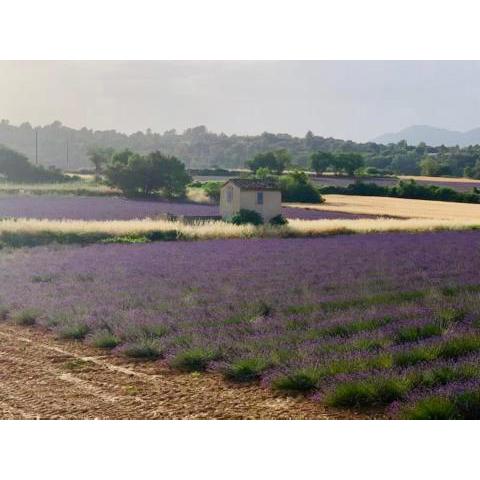 Location de vacances Rians haut Var