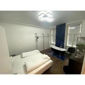 Luxurious Apartment in the Centre of Vienna