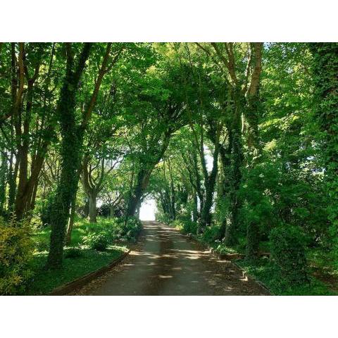 Maison de charme dans un bel environnement nature