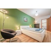 Modern Apartment With Garage