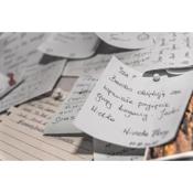 Petaluda House 2 Izabela