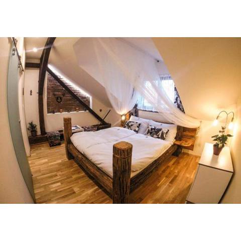 Rezidence Mandragora