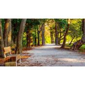 Romantic two bedroom apartment in the hills of Budapest with private parking