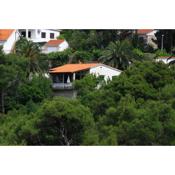 Seaside holiday house Postira, Brac - 13001