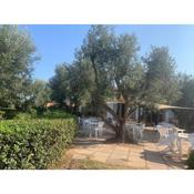 Seaview with sport club and private beach services