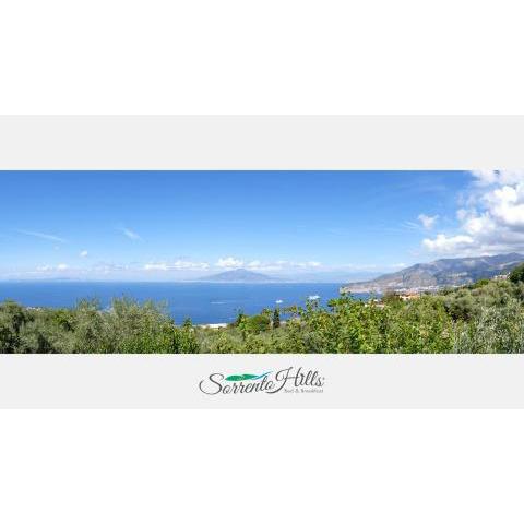 Sorrento Hills