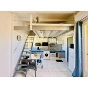 Studio Cap d'Agde, 2 pièces, 4 personnes - FR-1-723-98