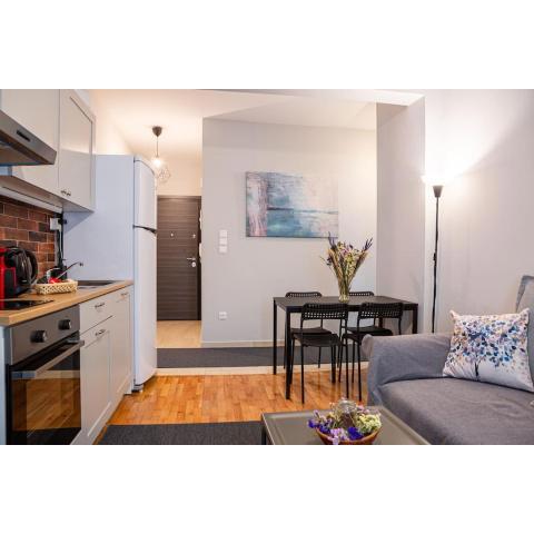 Sunny apartment-Διαμέρισμα45m2 στην πλατεία πάργης