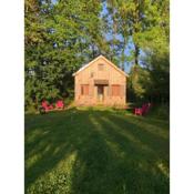 Tiny-House sous les arbres et les oiseaux