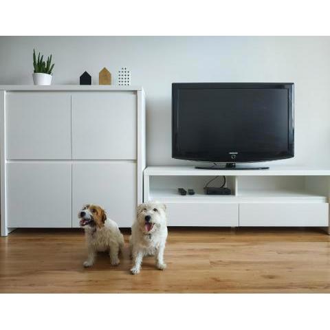 Uroczy Apartament Pod Skarpą