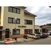 Vila Jiřinka