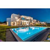 Villa Eleonora, luxury villa in Višnjan, Žužići, near Poreč