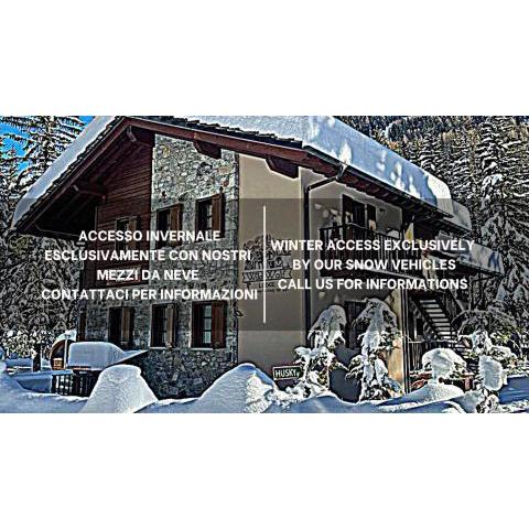 WILDHOMES Wild Wolf Lodge